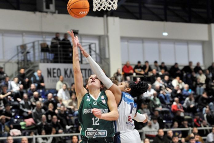 Ο Παναθηναϊκός 75 66 τον ΠΑΣ στα Γιάννινα πέρασε στο final 4 (gallery) 695e980edc840.jpeg